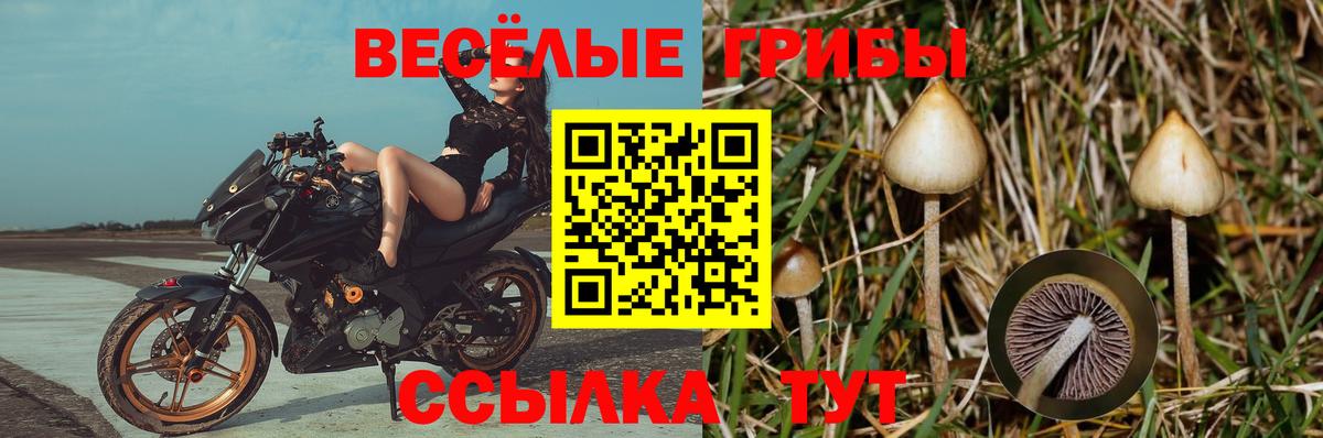 Галлюциногенные грибы Cubensis  Вход с VPN  Галлюциногенные грибы Cubensis  Соликамск 