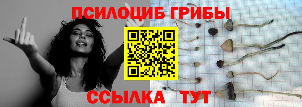 Галлюциногенные грибы Cubensis Соликамск